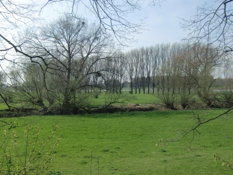 Urdenbach : Am Alten Rhein, Naturschutzgebiet Urdenbacher Kämpe